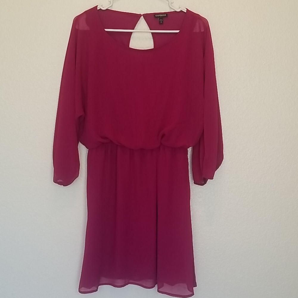 Express Fuchsia Dress
